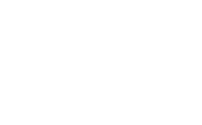 Thunderobot